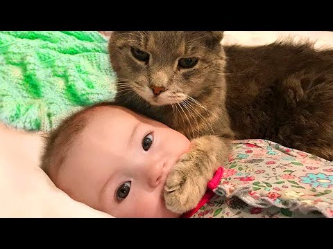 Baby and Cat Fun and Fails – Funny Baby Video