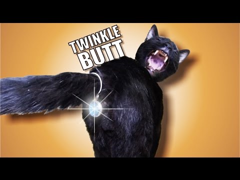 Talking Kitty Cat 42 – Twinkle Butt